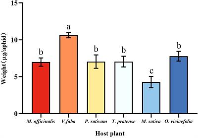 Host plant-mediated effects on Buchnera symbiont: implications for biological characteristics and nutritional metabolism of pea aphids (Acyrthosiphon pisum)